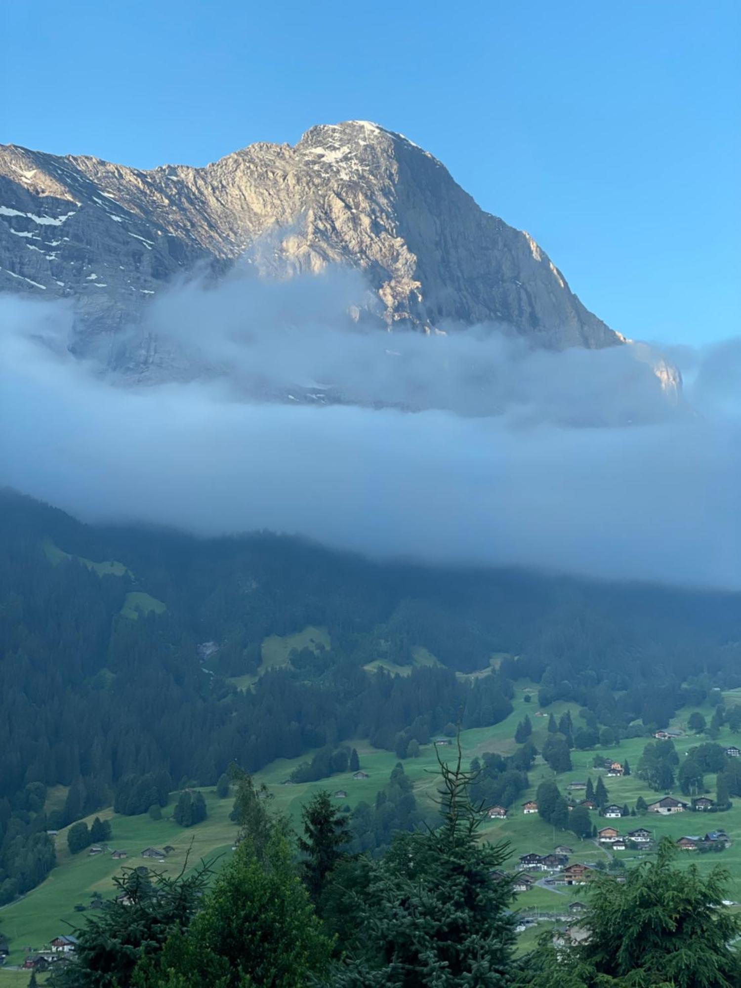 Jungfrau Lodge, Swiss Mountain Hotel Гриндельвальд Экстерьер фото