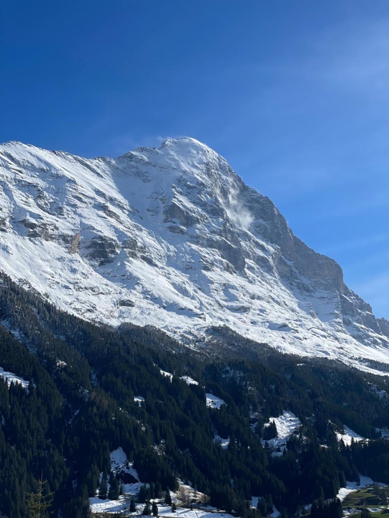 Jungfrau Lodge, Swiss Mountain Hotel Гриндельвальд Экстерьер фото